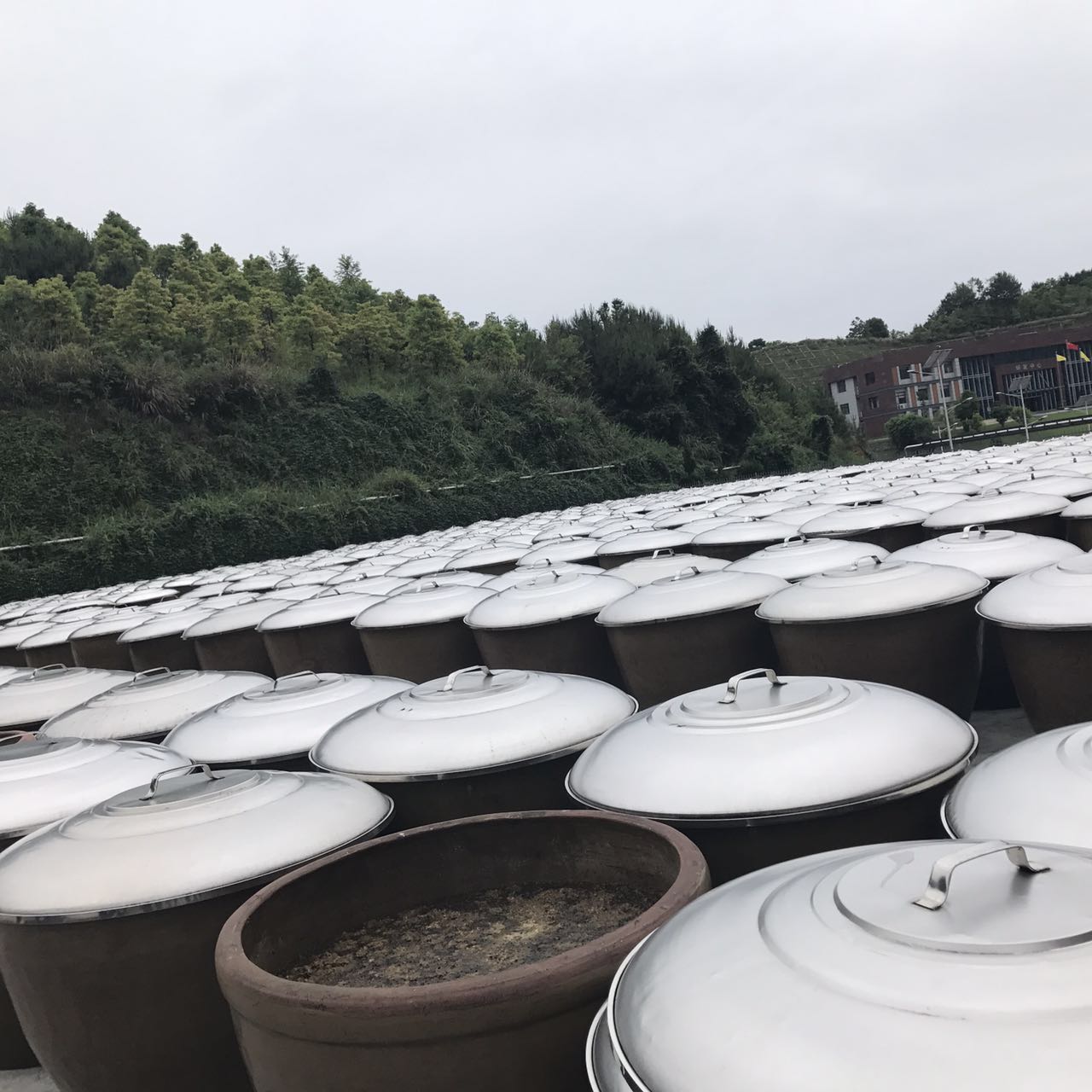 味.jpg 小草影院